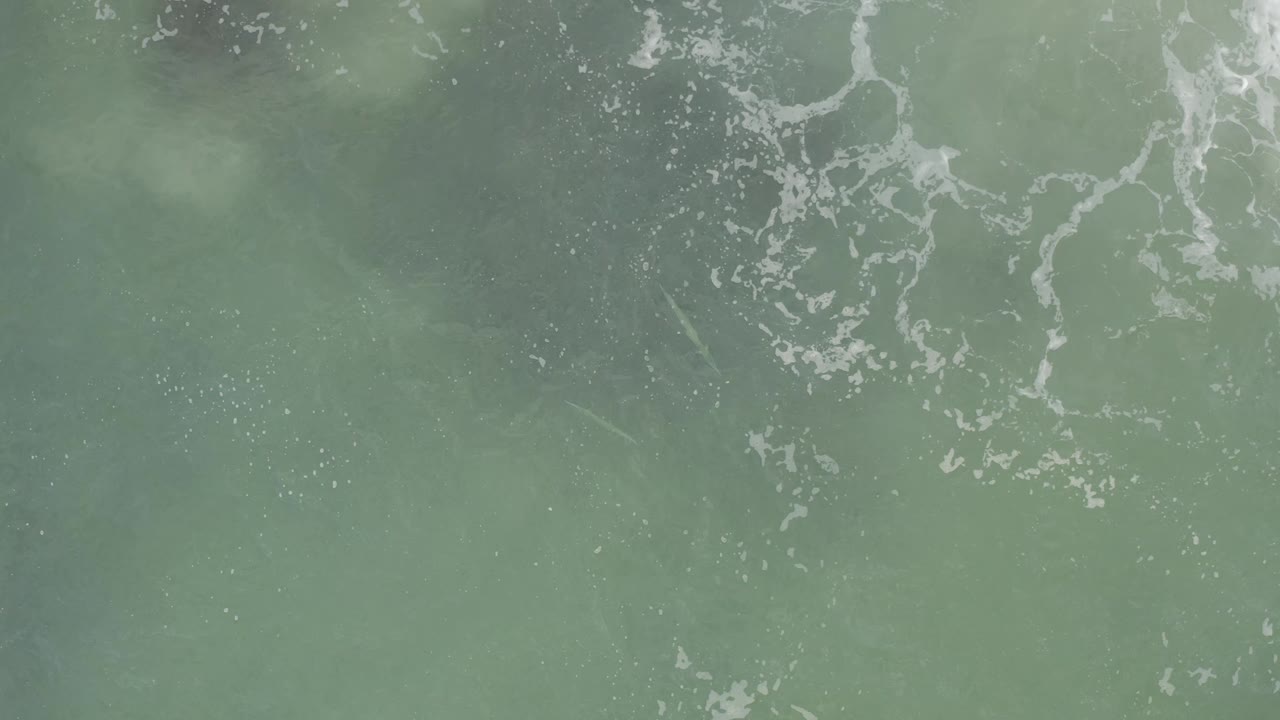 Green ocean surface in Baja California Sur, Mexico, seen from above with scattered white foam, muted underwater shadows, and no visible people.