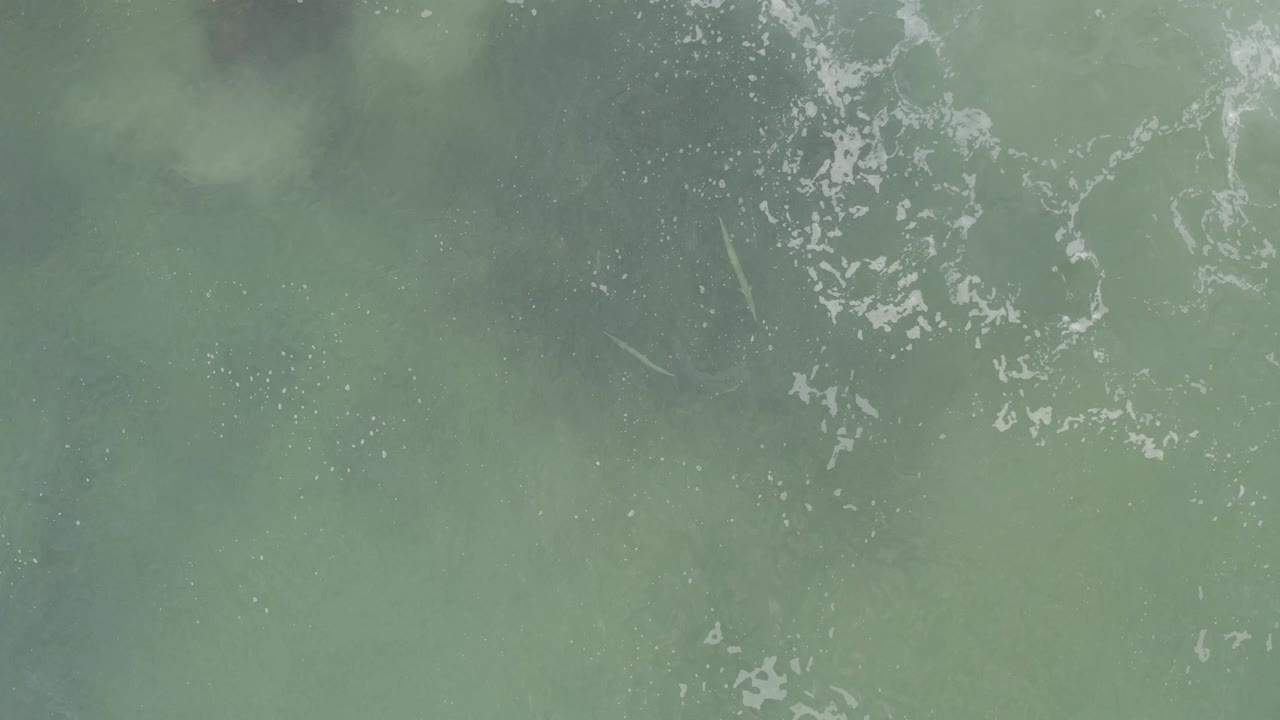 Top-down view of green sea water in Baja California Sur, Mexico, with a soft dark patch below the surface, thin white foam lines, and no visible people.
