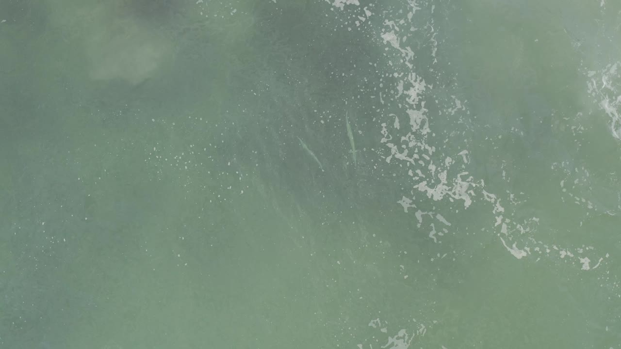 Baja California Sur ocean surface seen from above, with a more defined vertical white foam trail through the green water and no visible people.