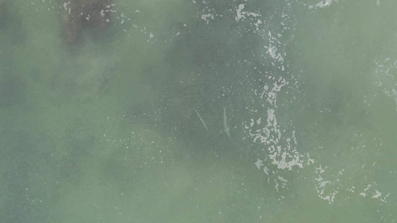 Top-down green ocean water with white foam streaks