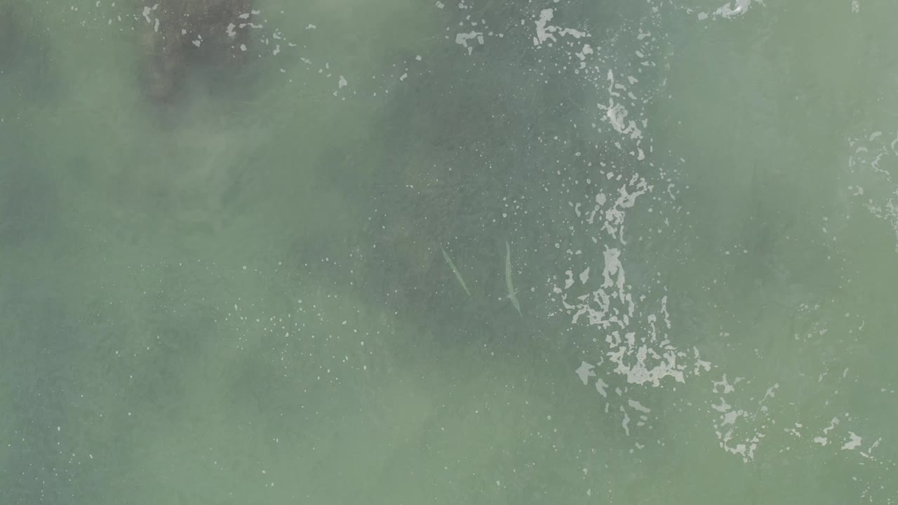 Aerial-looking water surface in Baja California Sur, Mexico, with a brighter white foam cluster crossing the central area and no visible people.