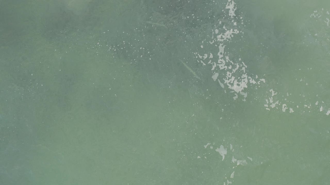 Top-down view of blue-green ocean water in Baja California Sur, Mexico, with scattered white foam-like marks and no visible people.