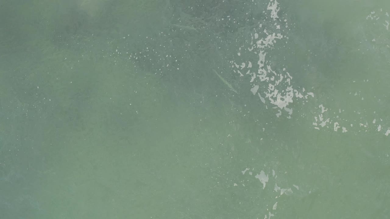Green ocean water in Baja California Sur, Mexico, shows a brighter vertical cluster of white surface marks with darker water beneath and no visible people.