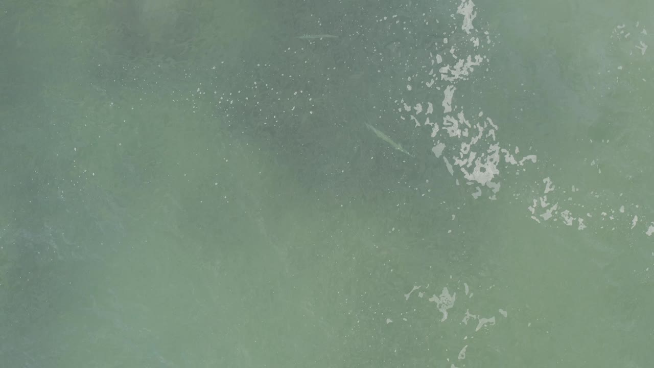 Muted green ocean surface in Baja California Sur, Mexico, contains scattered white flecks and soft darker patches, with no visible people or shoreline.