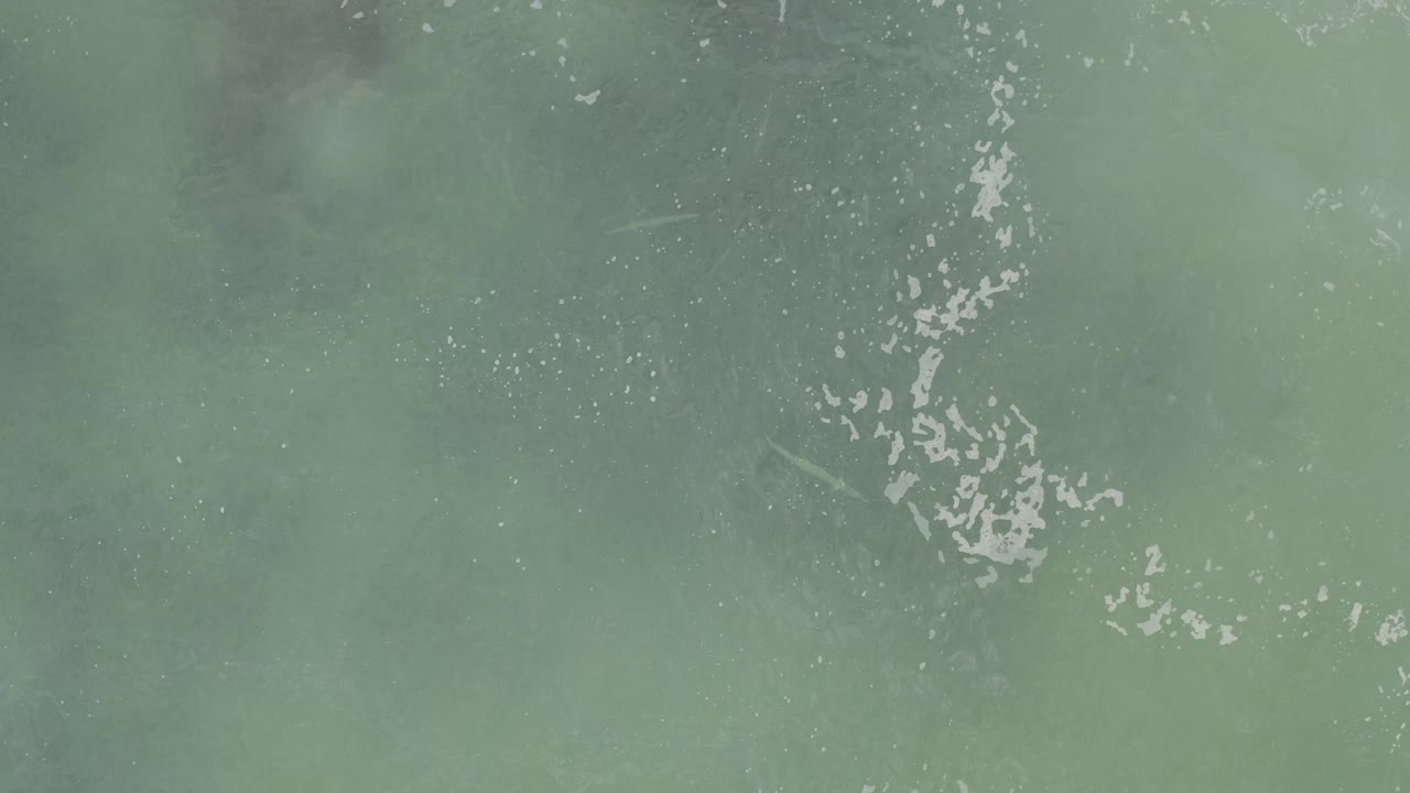 Overhead view of ocean water in Baja California Sur, Mexico, with white ripples grouped near the center and dark green patches below the surface, no visible people.