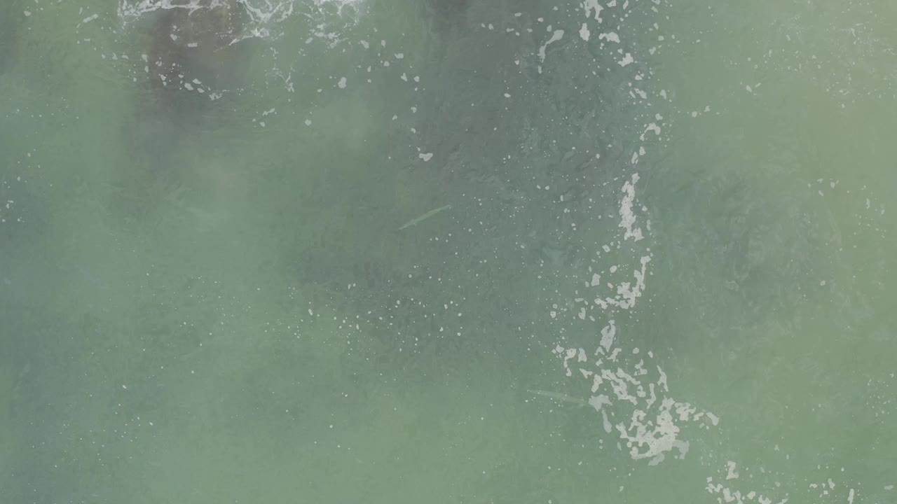 Green sea surface with scattered white bubbles and darker patches.