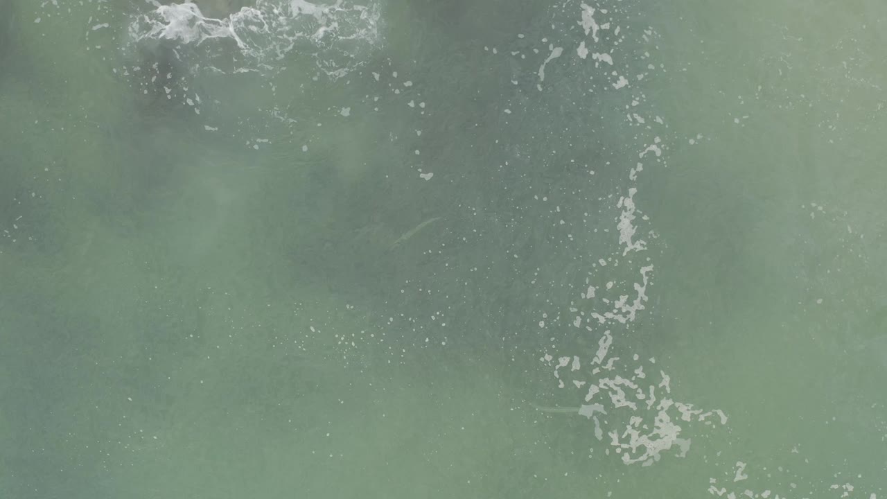 Top-down aerial view of green water in Baja California Sur, Mexico, marked by a broken vertical trail of white foam and no visible people.