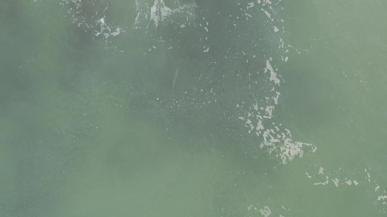 An overhead frame of shallow green sea water in Baja California Sur shows thin foam trails running through the center-left, with no boats, land, or visible people.