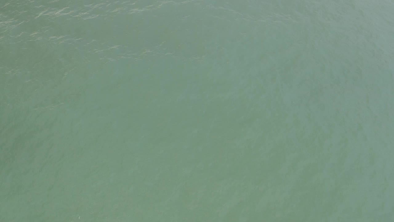 Pale green water surface with faint ripples and cloudy texture.