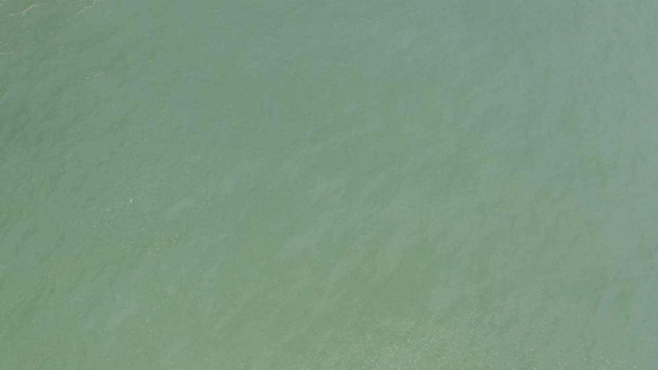 High-angle view of cloudy green coastal water in Baja California Sur, Mexico, with scattered small white bubbles near the lower portion and no visible people.