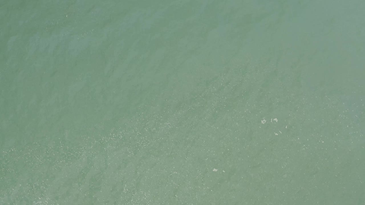 Overhead view of green coastal water in Baja California Sur, Mexico, with a loose diagonal cluster of white bubbles and residue, and no visible people.