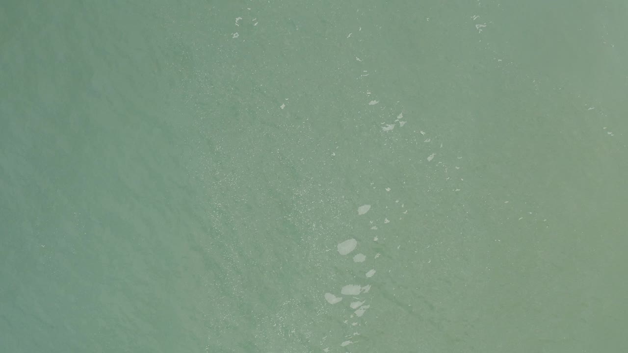 Overhead view of blue-green water in Baja California Sur, Mexico, with scattered small white floating marks near the center and no visible people.