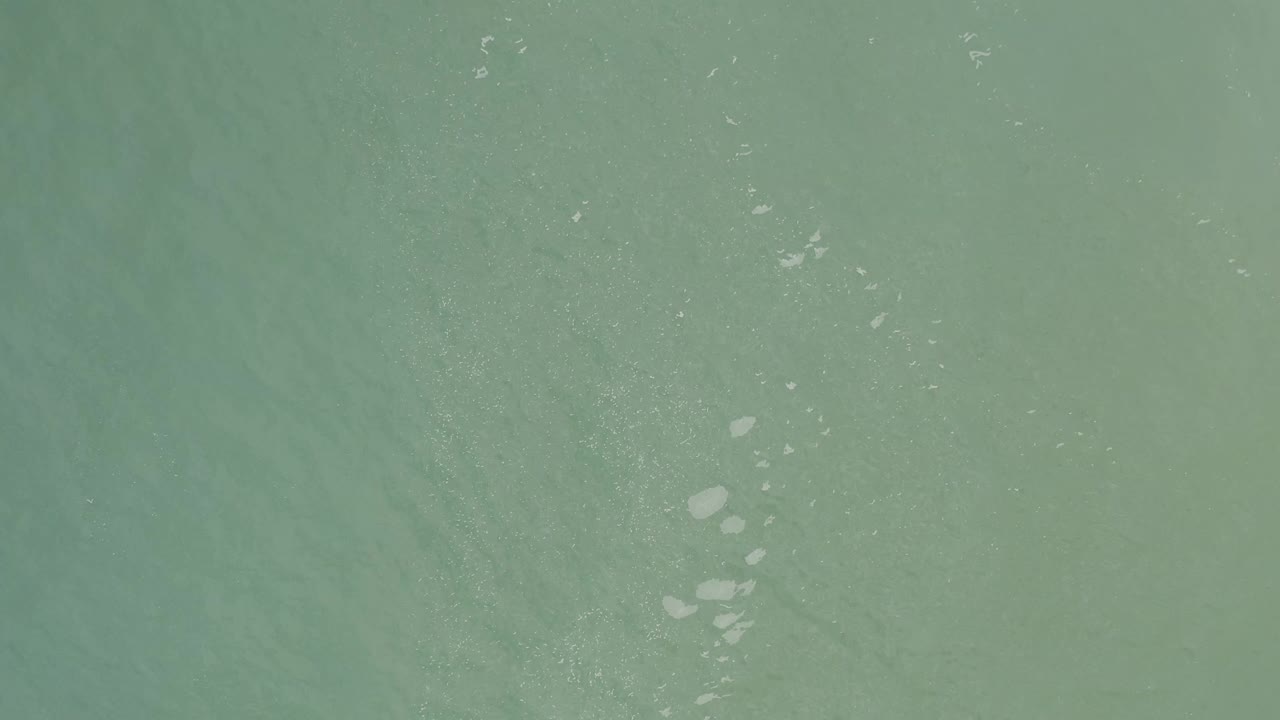 Blue-green ocean water in Baja California Sur, Mexico, with a loose vertical cluster of white specks slightly left of center and no visible people.