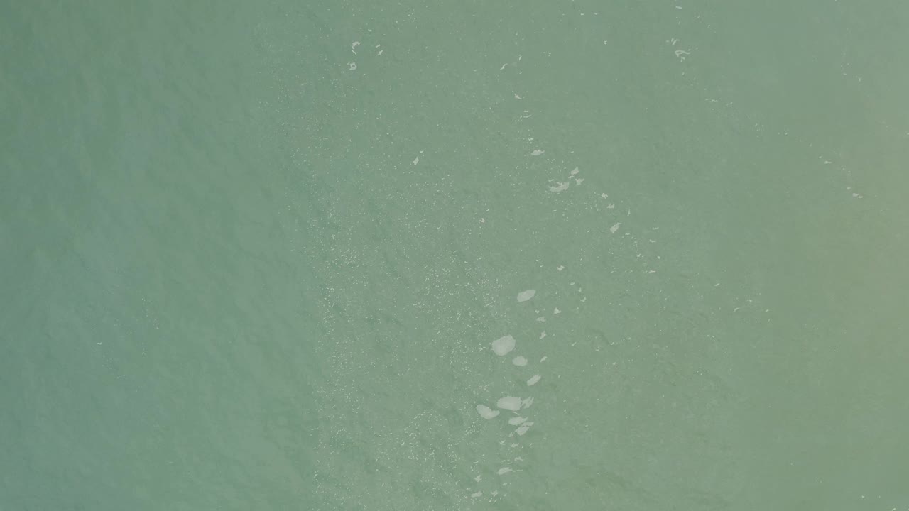 Top-down green-blue water in Baja California Sur, Mexico, with pale floating patches crossing the middle of the frame and no visible people.