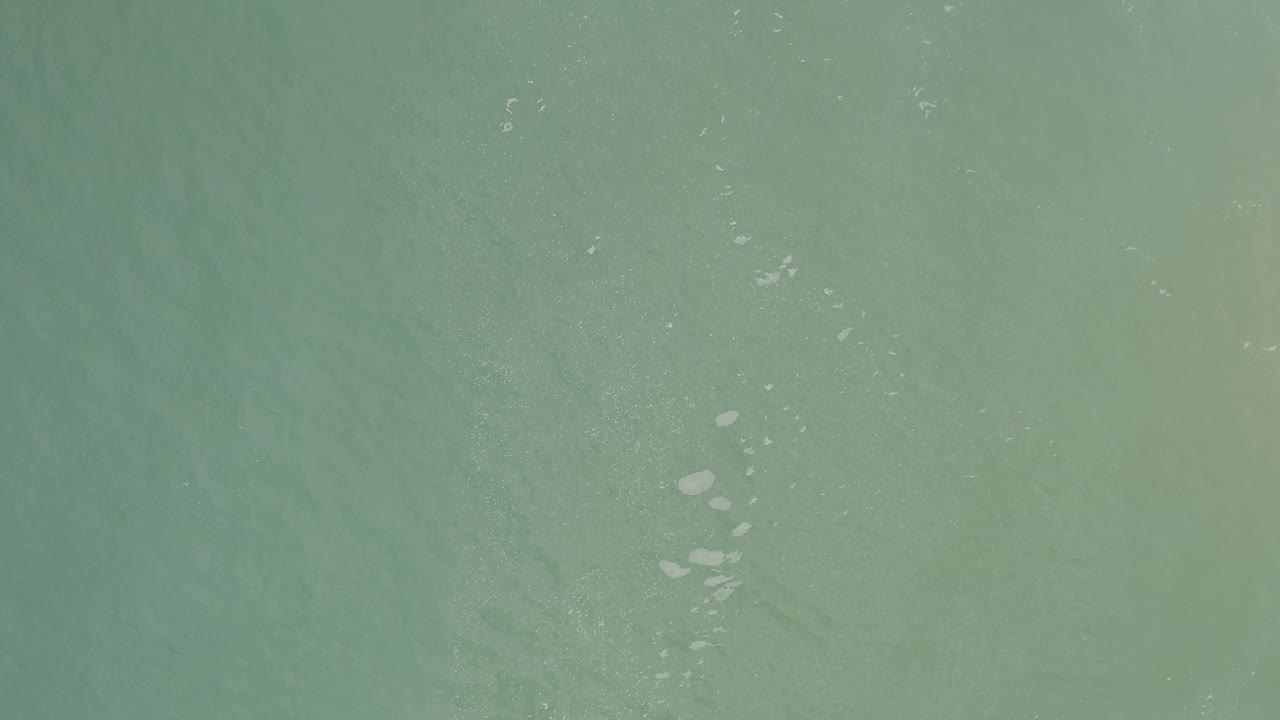 Overhead Baja California Sur water surface with small white marks lower in frame and a slightly darker blue-green field around them, with no visible people.