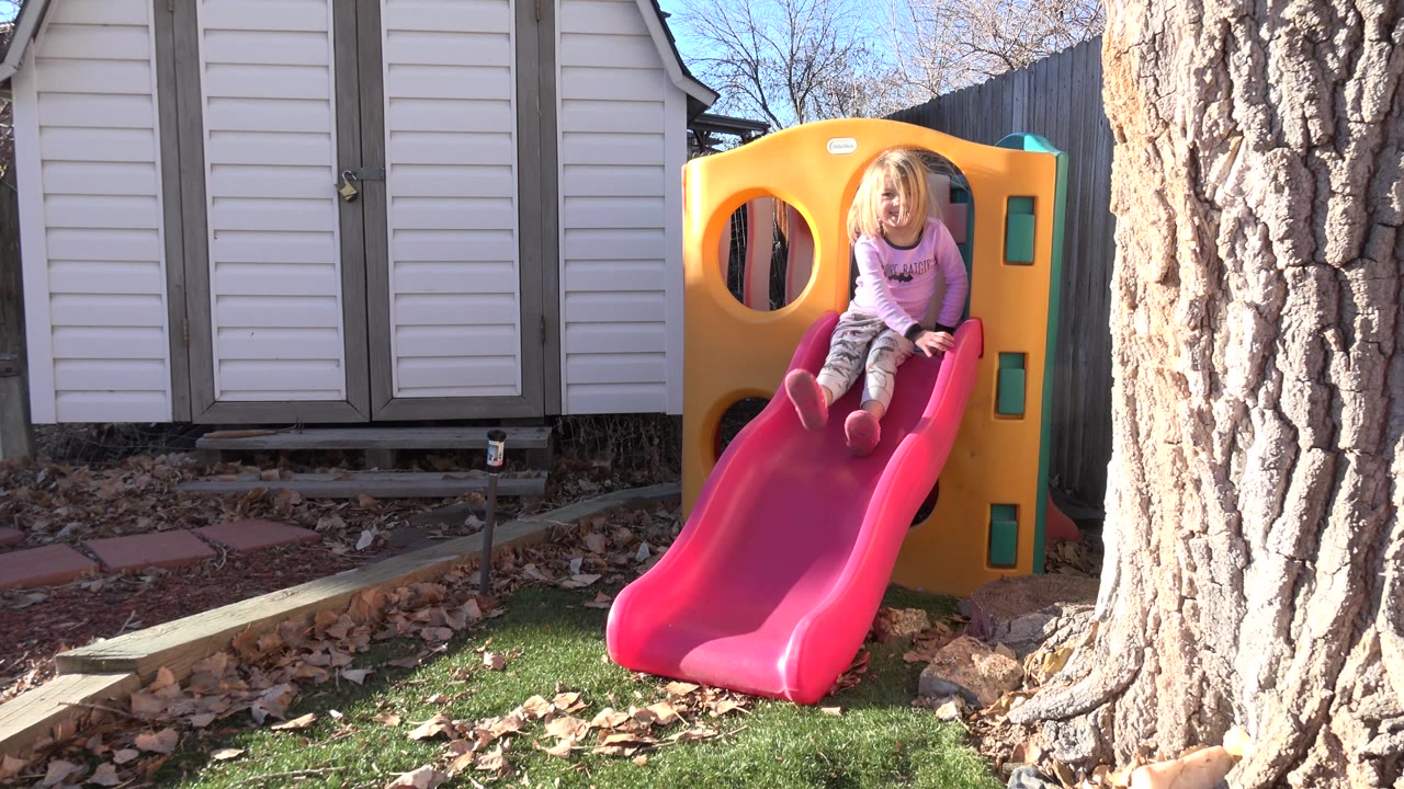 In Westminster, Colorado, a young blond girl sits at the top of a red slide on a yellow plastic play structure beside a large tree trunk.