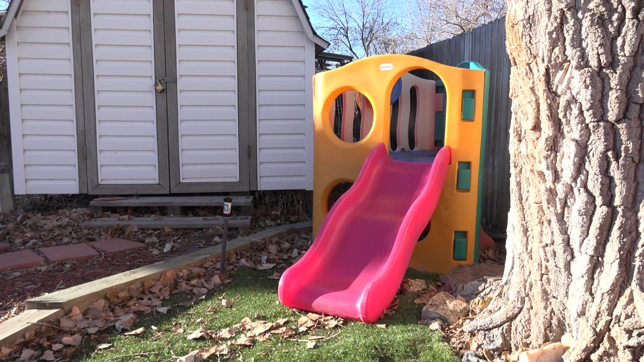 Colorful backyard slide beside a large tree and shed