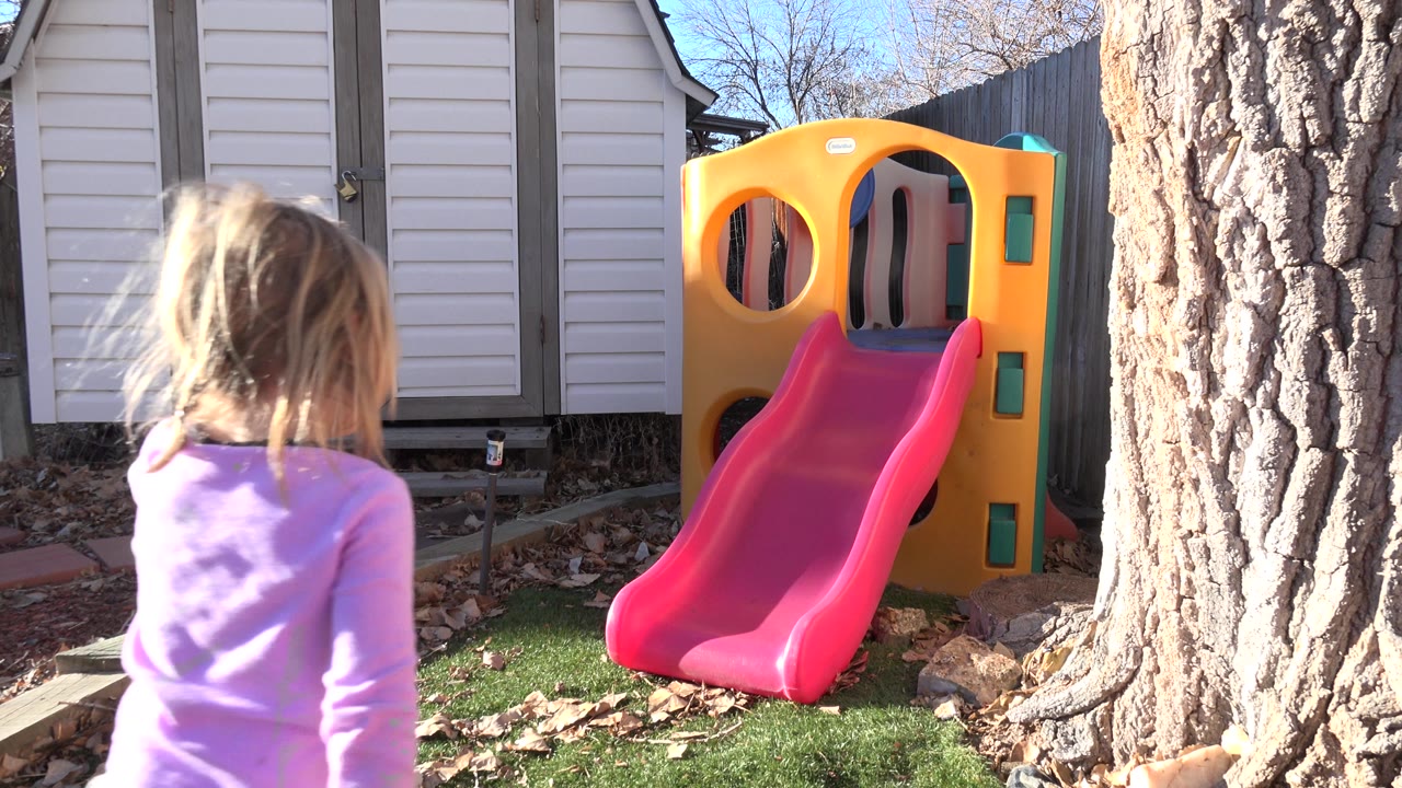 Young girl seen from behind facing a backyard slide.