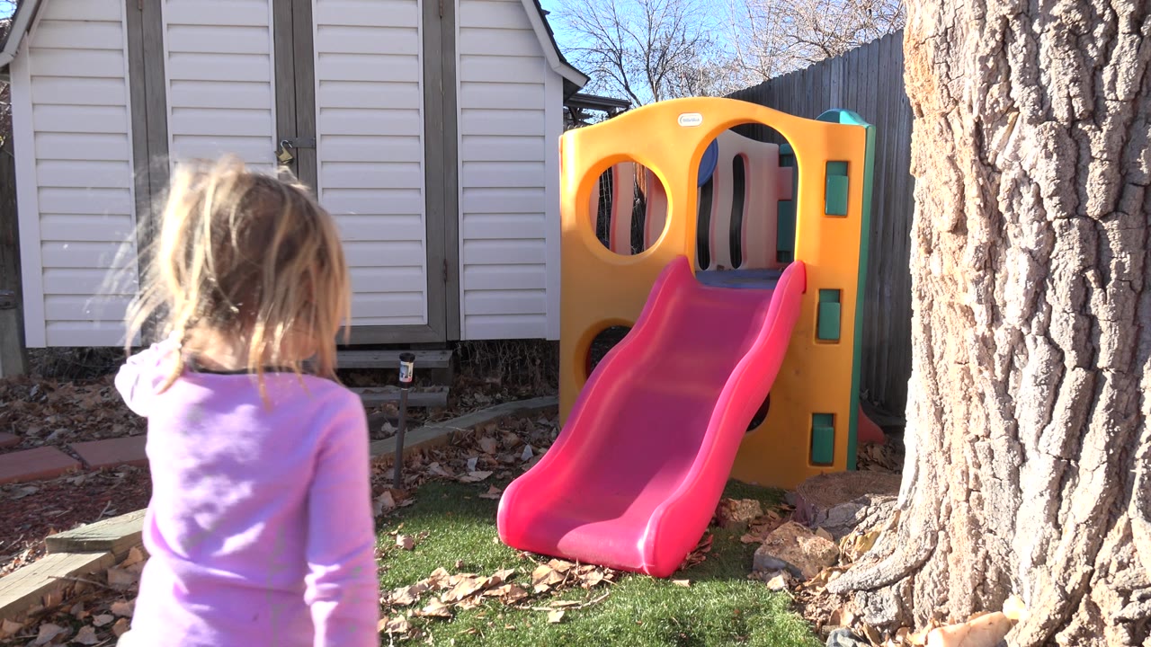 The girl continues toward the plastic slide in the Westminster, Colorado backyard, with shed doors behind her and the tree trunk framing the right side.