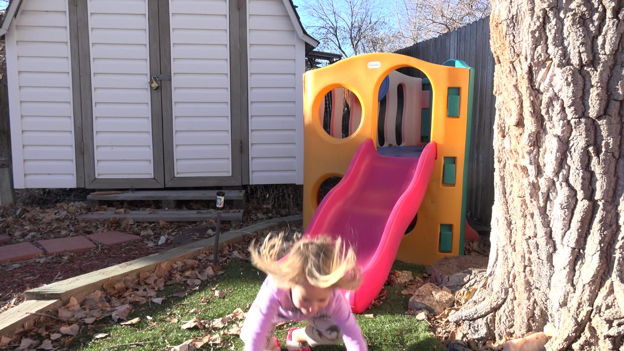 In Westminster, Colorado, the blond child bends low near the bottom edge of frame while the pink slide, yellow play structure, tree trunk, and shed doors remain visible.
