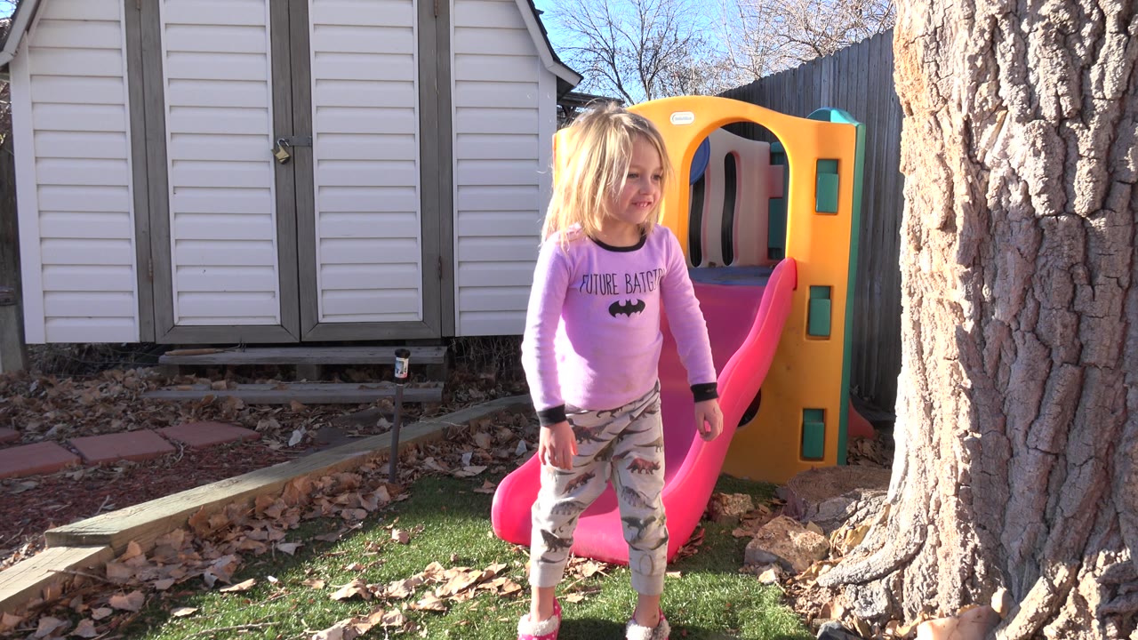 Young blond girl in pink standing beside a backyard slide and tree.
