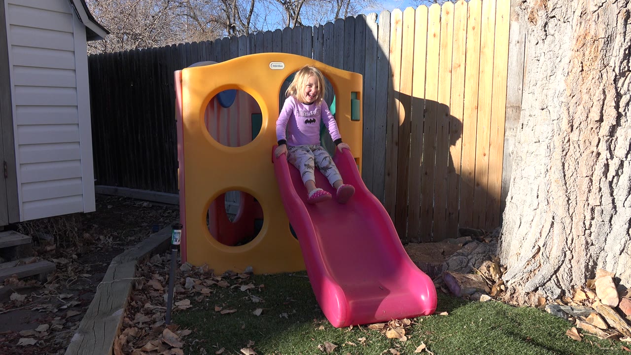 A young child sits at the top of a pink slide on a yellow play structure in a Westminster, Colorado backyard, with a wooden fence and large tree trunk behind.