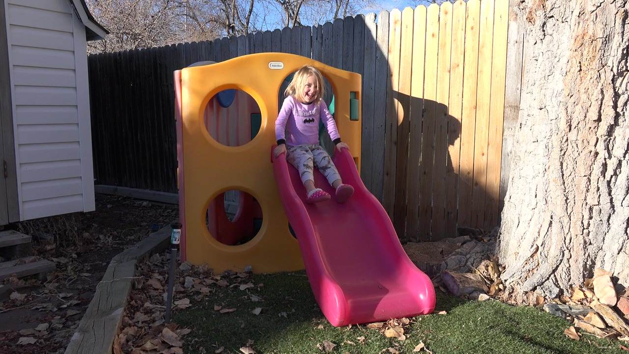 The child begins sliding down the pink slide while facing the camera, framed by the yellow play structure, fence, tree trunk, and patchy backyard light in Westminster, Colorado.