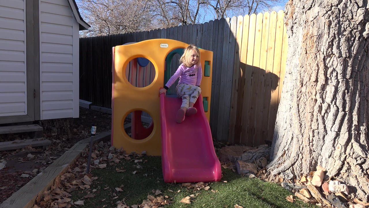 A blond child sits near the top of a red slide on a yellow play structure in a Westminster, Colorado backyard, with a wooden fence and large tree trunk behind her.