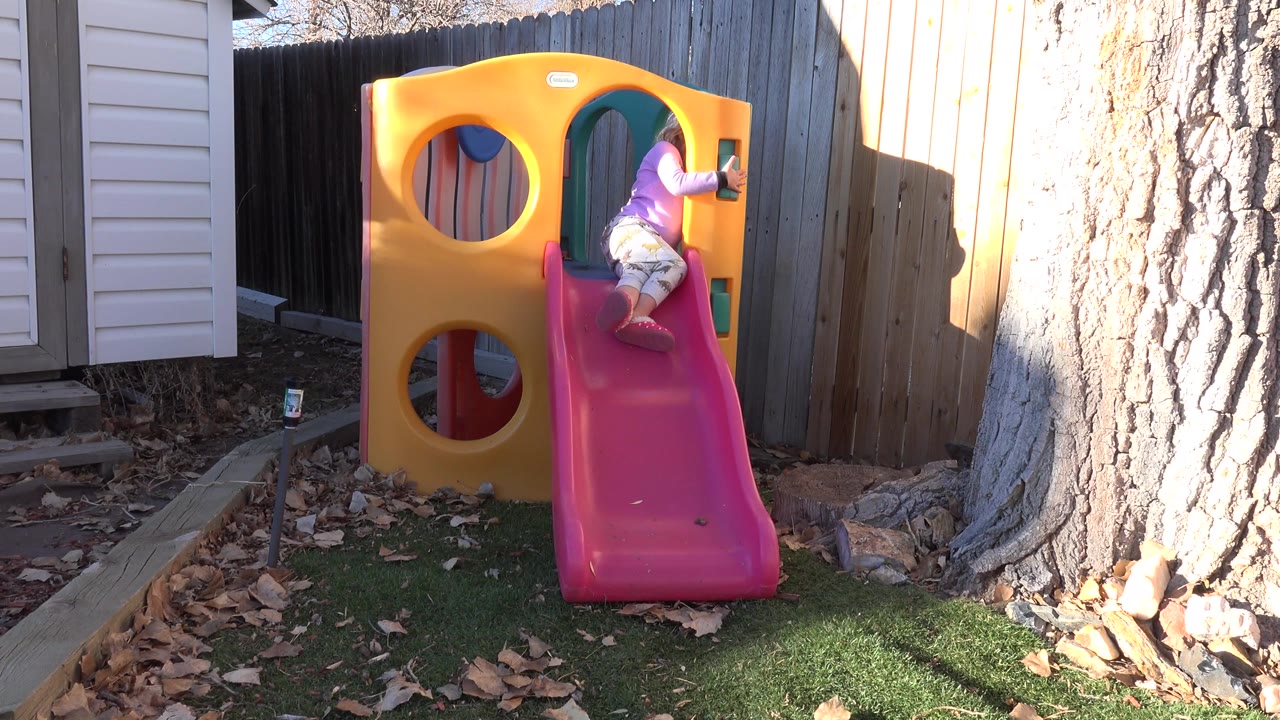 At 0:00 in Westminster, Colorado, a young girl in a purple top is positioned at the top of a pink slide on a yellow backyard playset beside a large tree trunk.