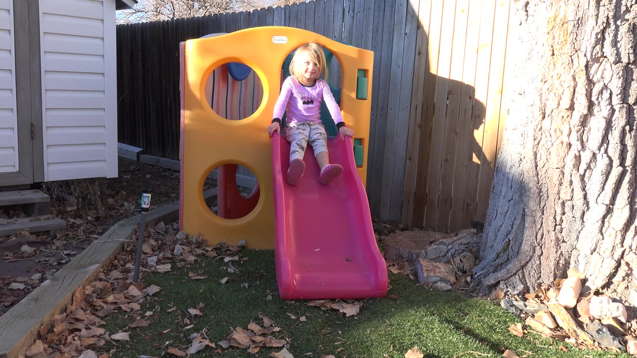 The girl remains seated near the top of the pink slide in the Westminster backyard, framed between the yellow play structure and the bright tree trunk.