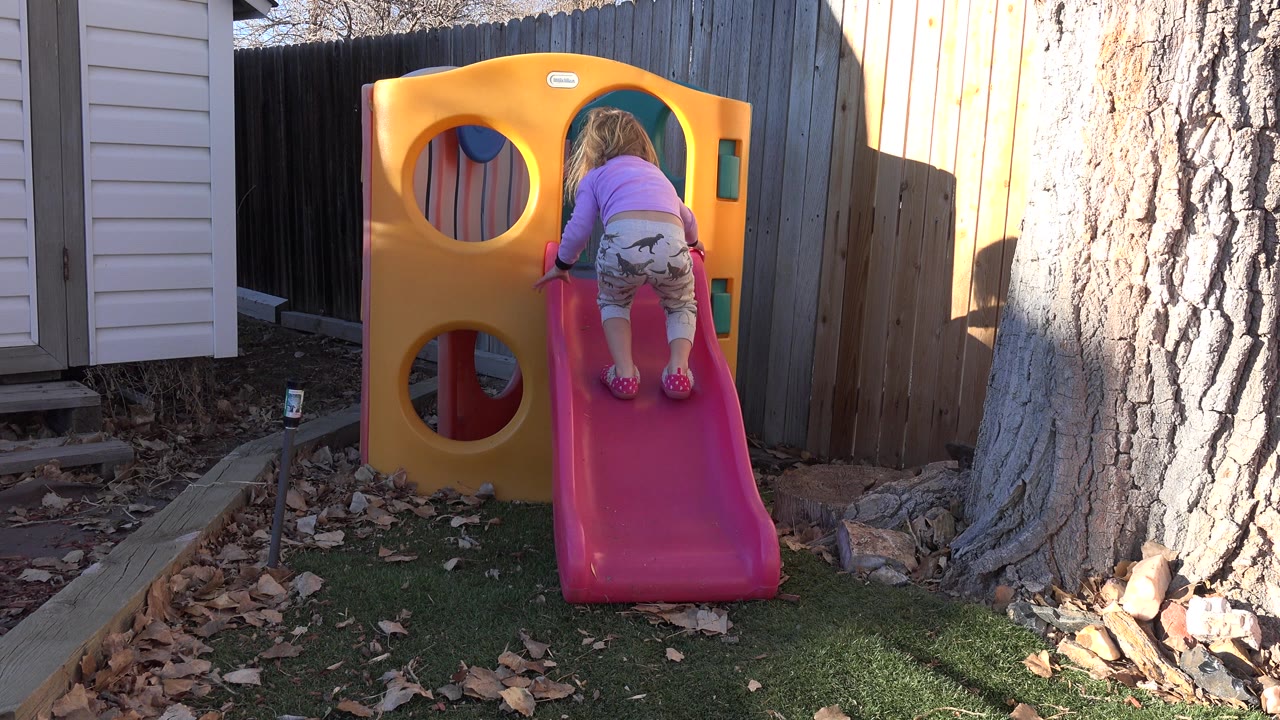 At 0:01 in Westminster, Colorado, the child is farther up the pink slide with her back to camera, framed by the yellow playset, fence, shed, and sunlit tree trunk.