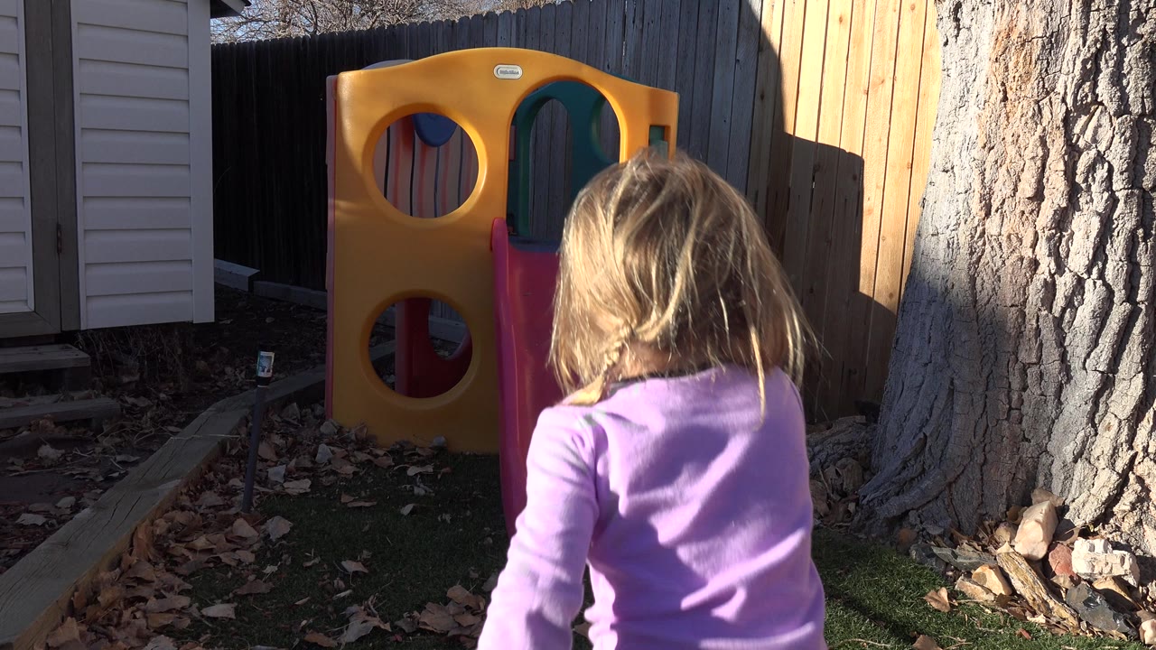 Blond child seen from behind approaching a backyard slide.