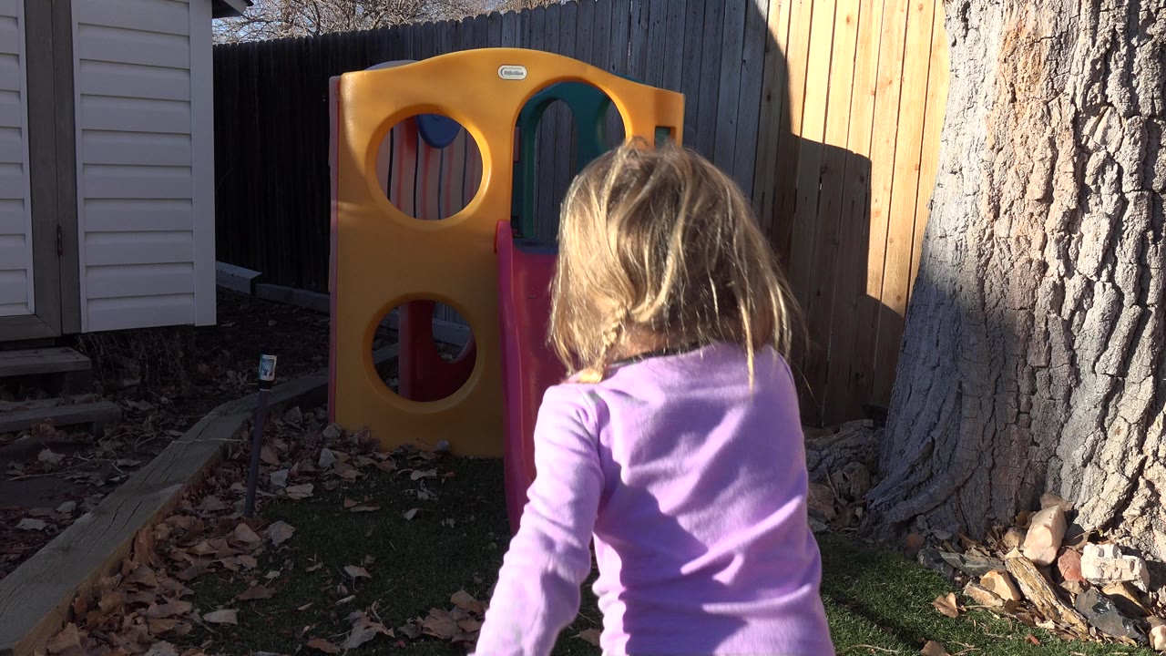The child moves closer to the yellow play structure in the Westminster backyard, with the pink slide partly visible and strong sunlight falling across the fence and tree.