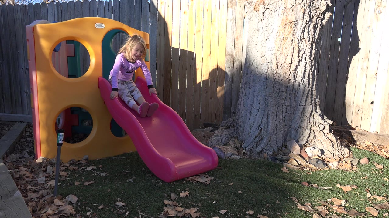 A young blonde girl in a purple shirt sits near the top of a red slide on a yellow playhouse in a Westminster, Colorado backyard, with a fence and tree trunk behind her.