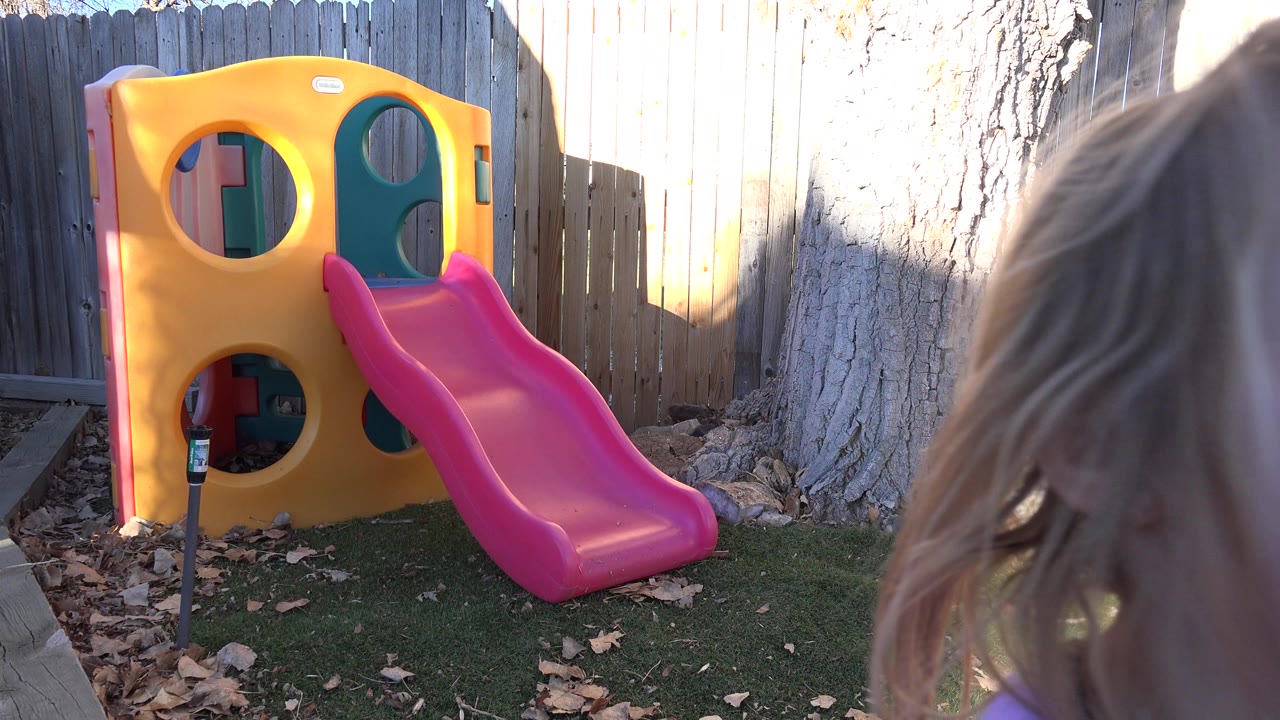 Child's blond hair in front of a backyard play slide