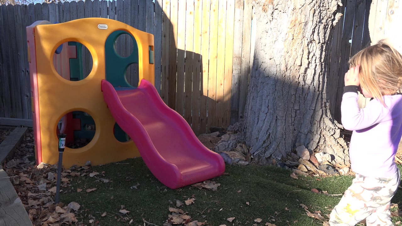 Young girl walking past a small plastic slide near a large tree.