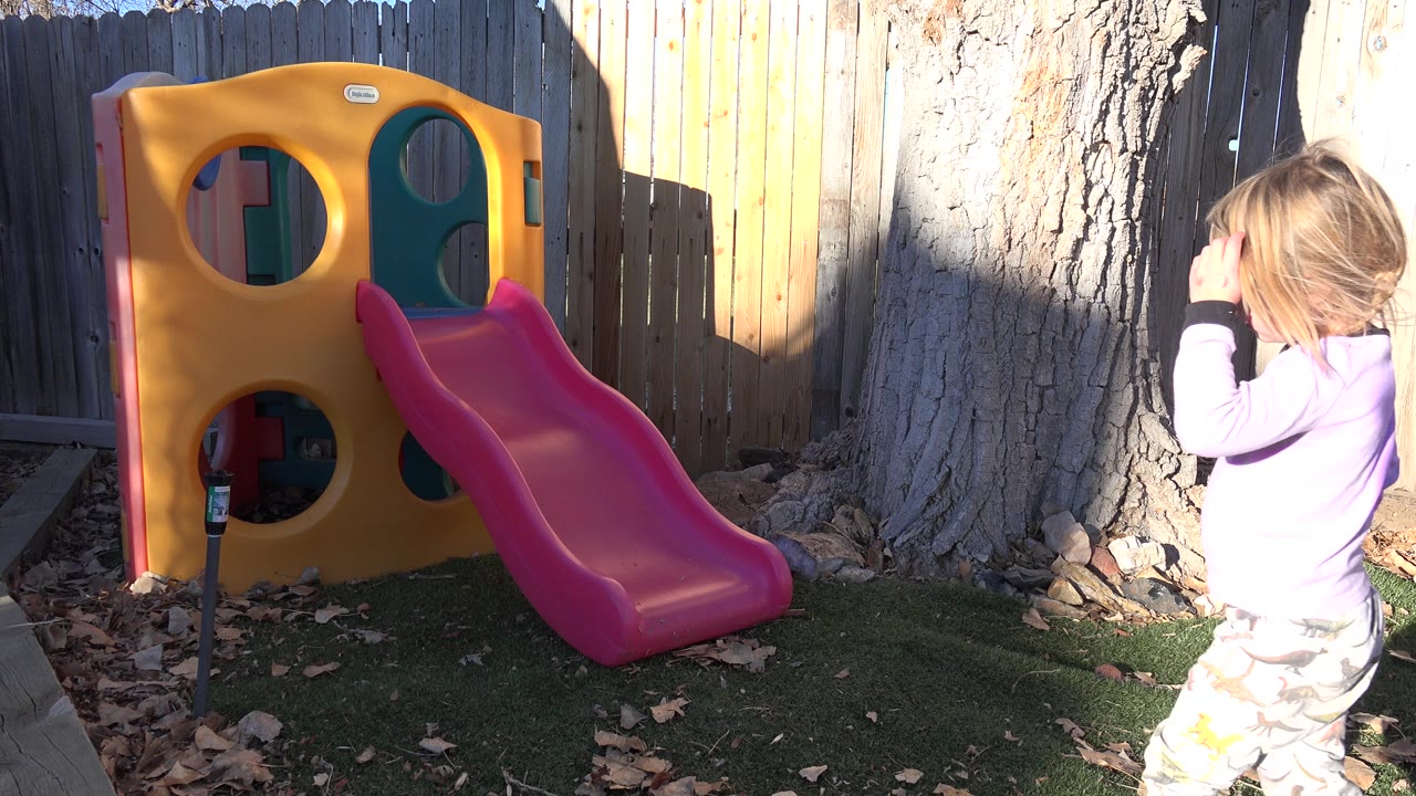 The girl continues along the right edge of the Westminster, Colorado frame while the yellow play structure, pink slide, large tree, fence, turf, and leaf litter remain fixed in view.