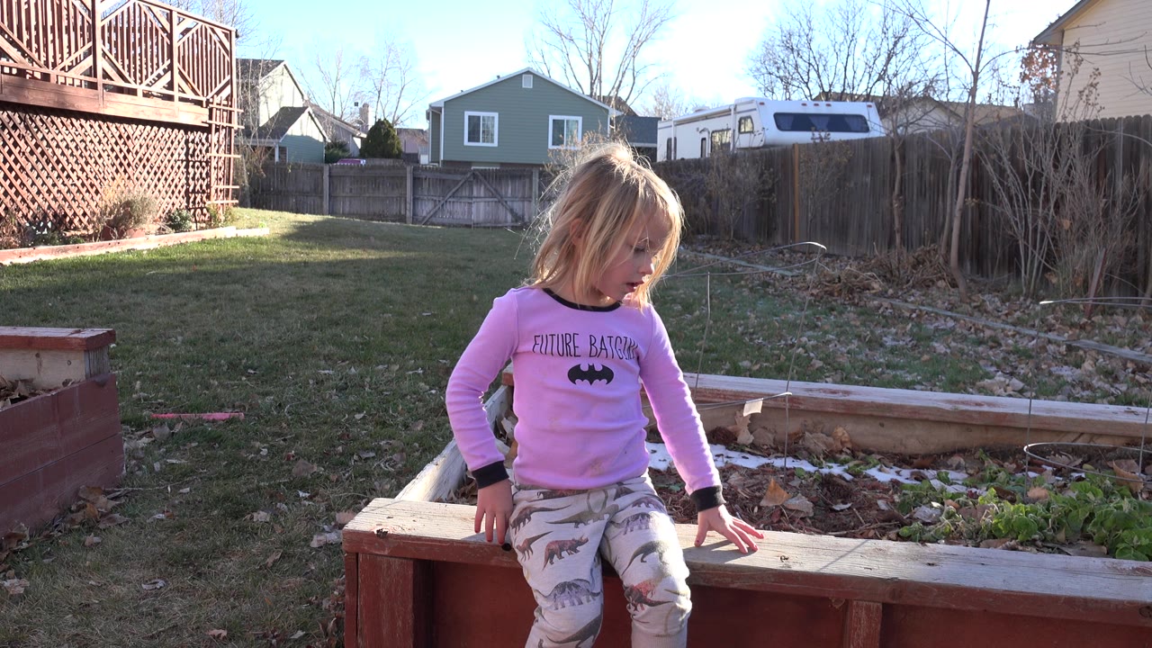 Young girl sitting on a wooden garden bed in a backyard.