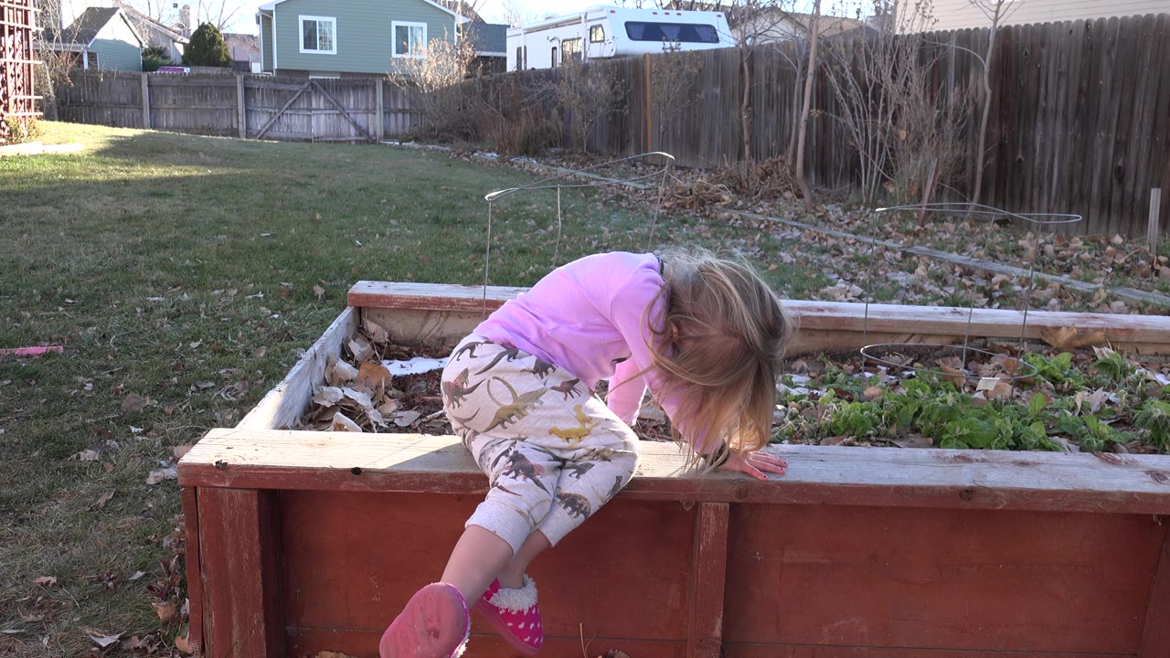 Young girl leaning over a raised garden bed in a backyard.