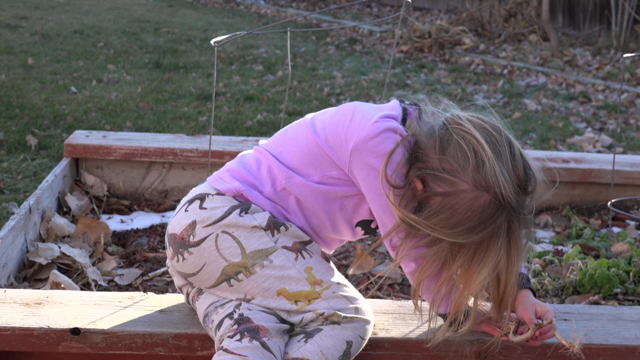 Girl crouched at the garden bed reaching toward a small stick.