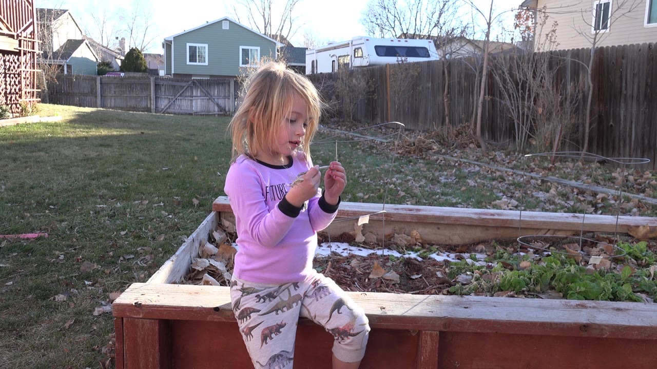 Girl turns slightly while holding a small object in a fenced backyard.