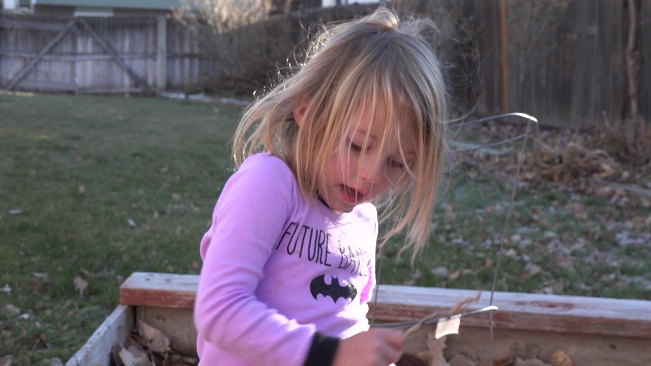 The girl leans slightly forward with her hair across her face while holding a stick near the edge of a wooden garden bed in Westminster, Colorado.