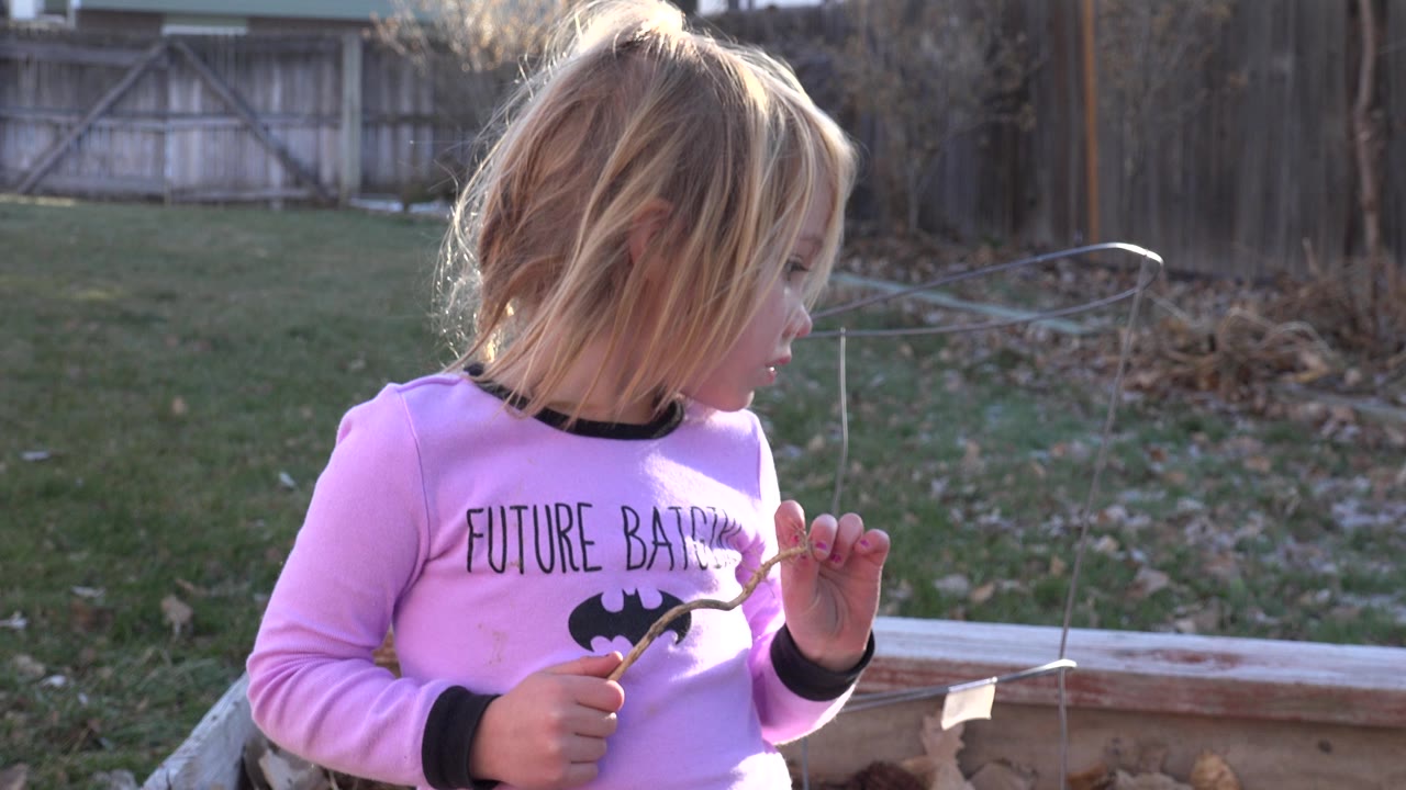 The girl in Westminster, Colorado keeps her gaze lowered toward the stick, with sunlight catching her hair and the fenced backyard behind her.