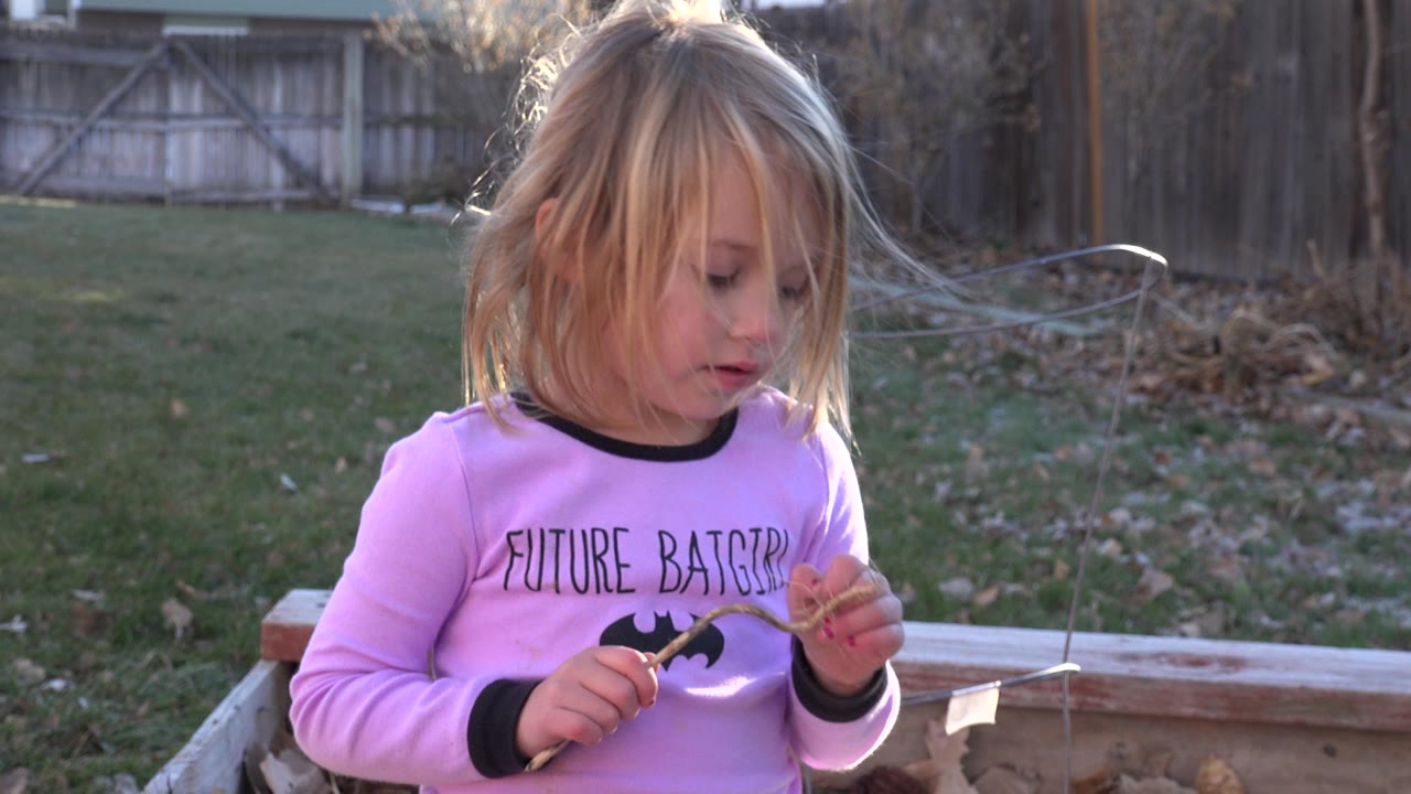Blond young girl in a pink shirt looking down near a raised dirt bed.