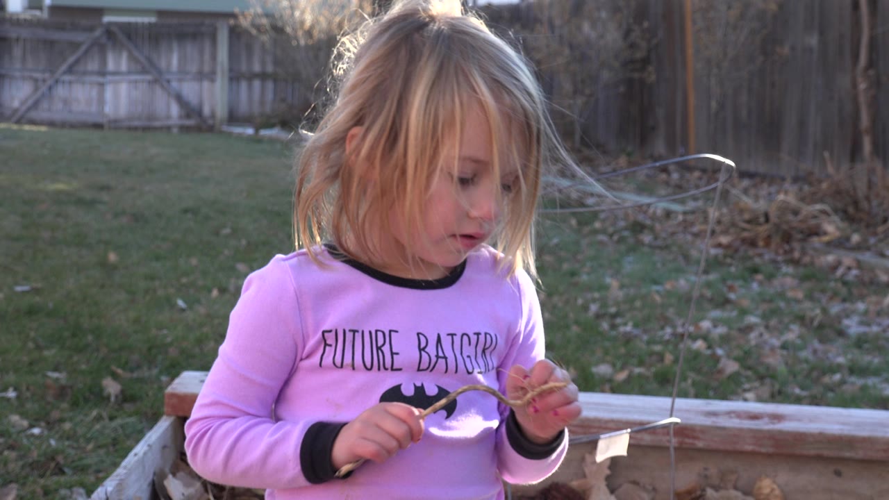 The child remains in the foreground in Westminster, Colorado, holding a small twig or dirt-covered object with the backyard lawn and fence behind her.