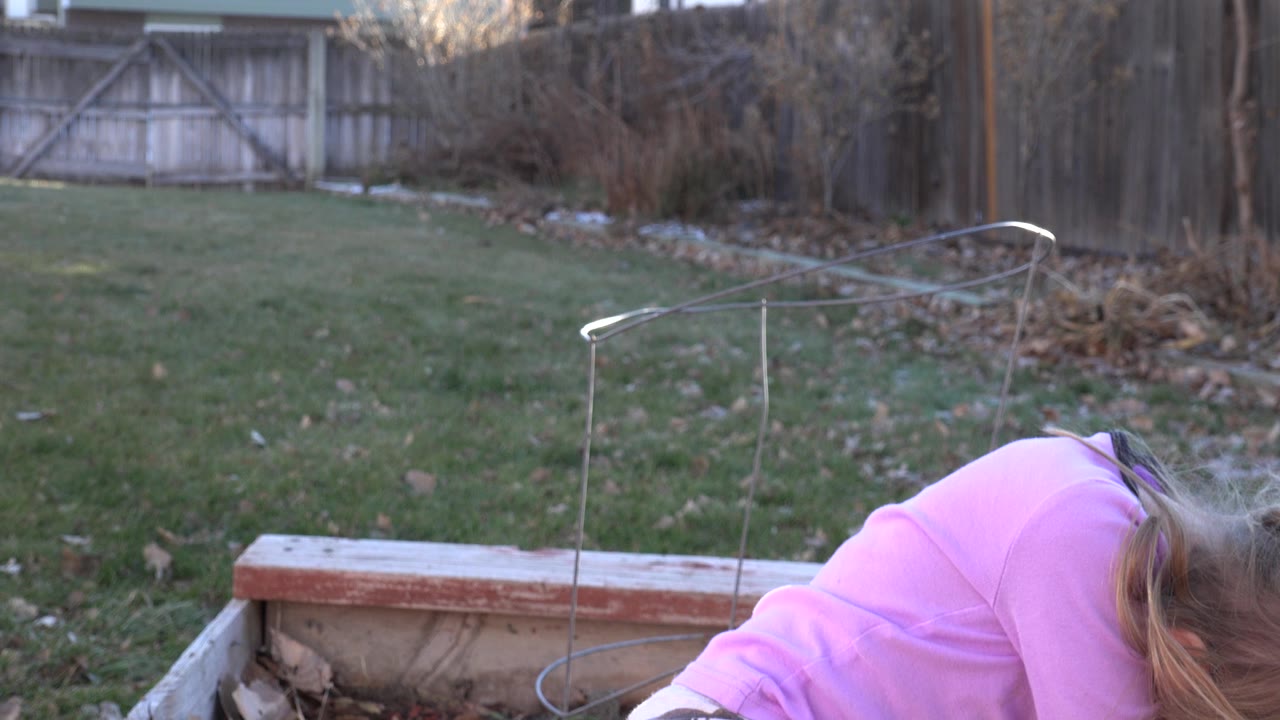 At 0:01, the girl remains partly cropped at the lower right as she bends over the planter box, with wire supports and a fenced yard visible in the background in Westminster, Colorado.
