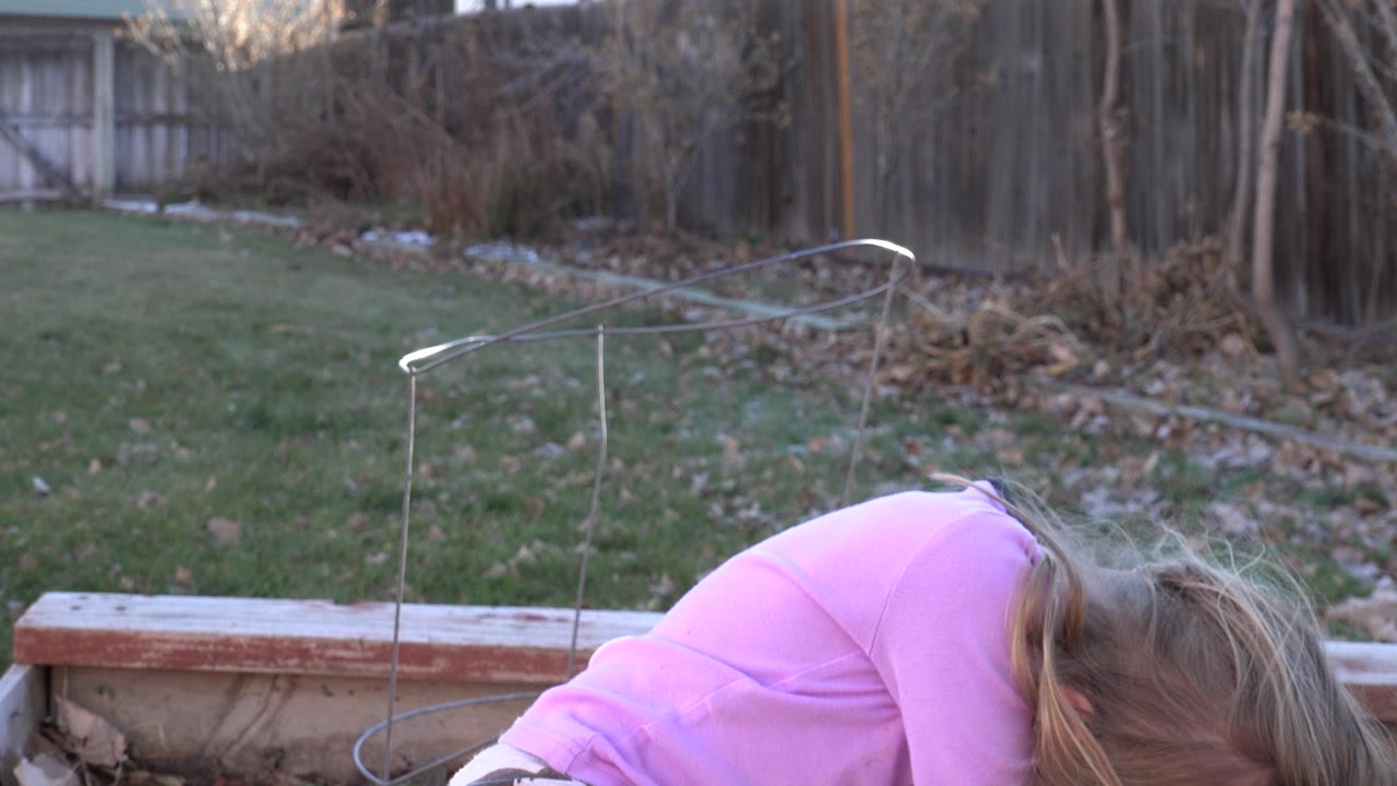 At 0:00 in Westminster, Colorado, a young blond girl in a pink shirt bends forward on a wooden planter box with grass, a fence, and bare garden beds behind her.
