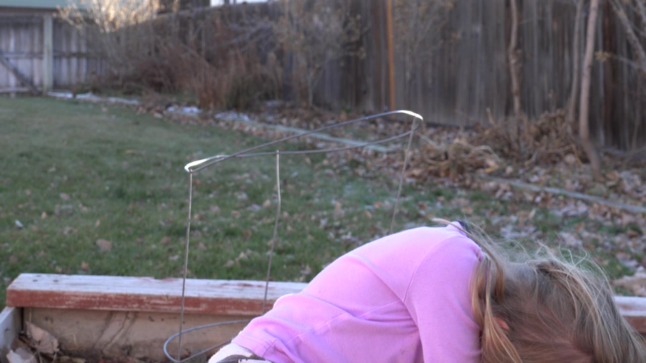 At 0:01 in Westminster, Colorado, the girl remains bent forward on the planter box while the fenced yard and wire garden support stay visible in the background.