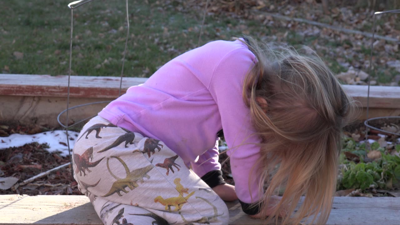 Blond child crouching beside a raised garden bed.