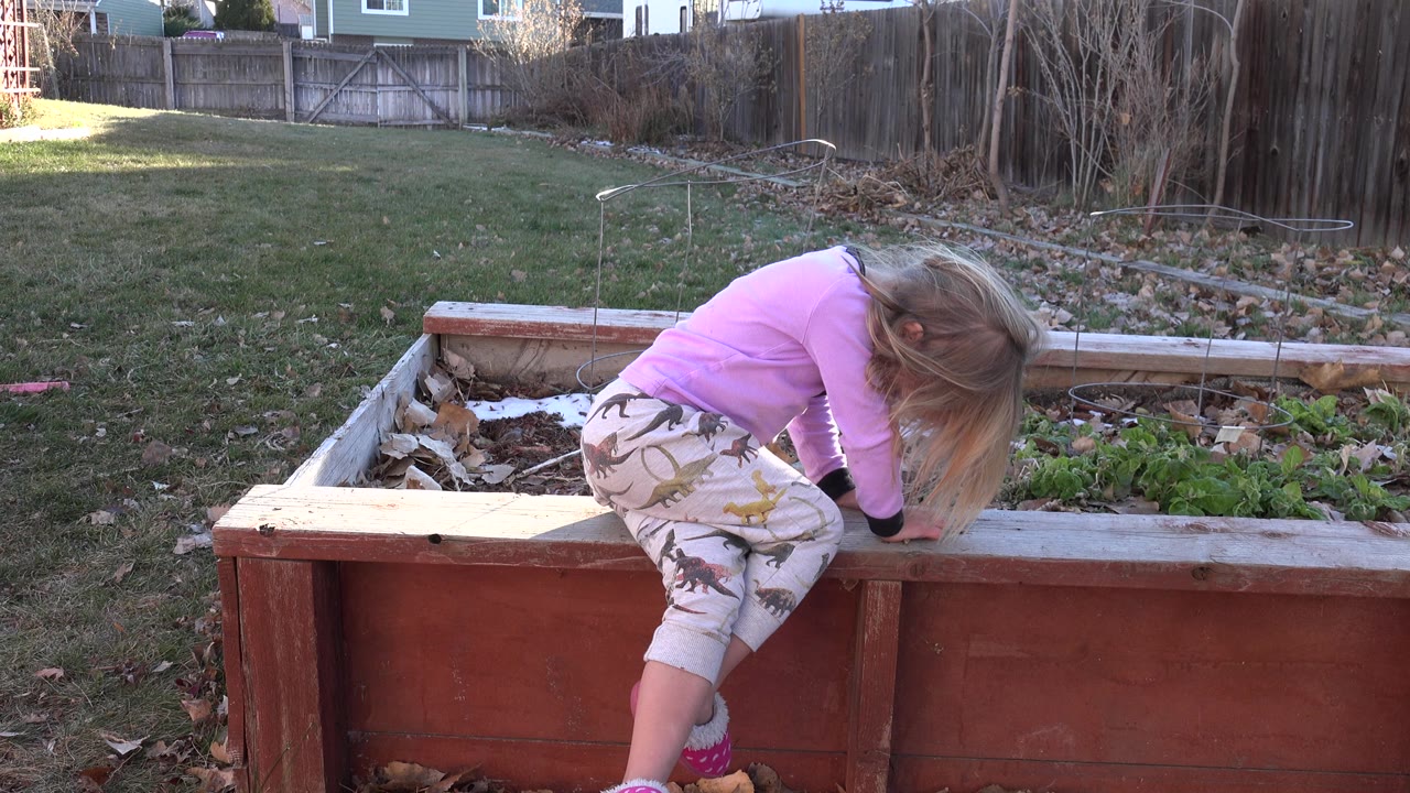 Young girl leaning over a wooden raised bed in a grassy backyard.